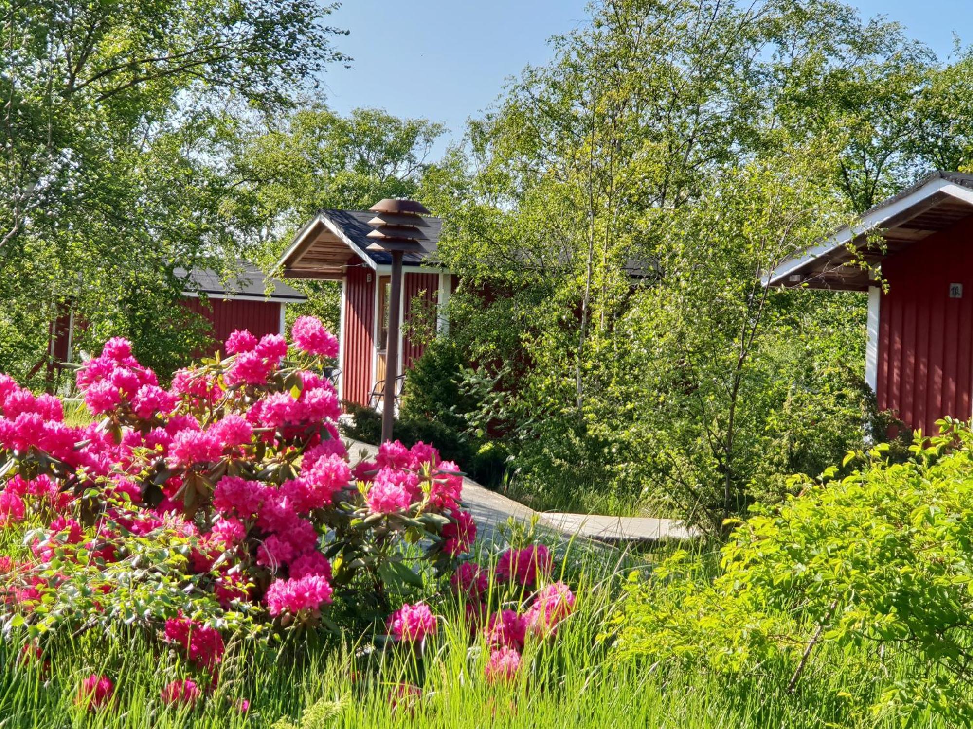 Koekar Havspaviljong Cottages Eksteriør billede
